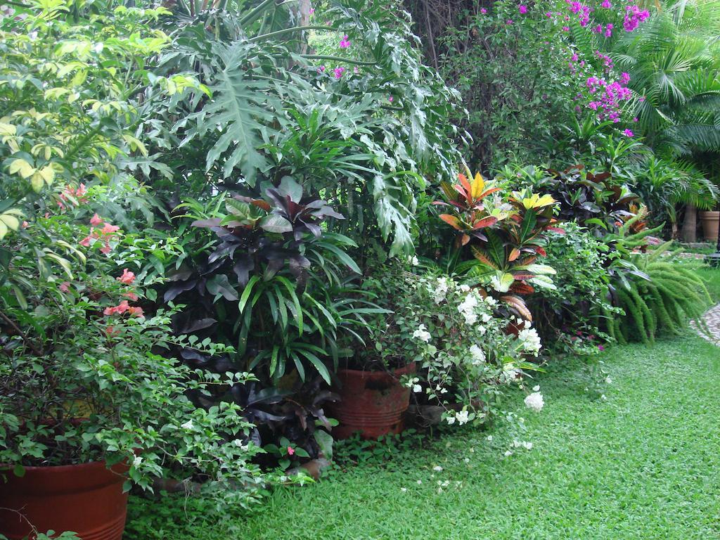 Hotel Quinta del Gobernador Cuernavaca Exterior foto